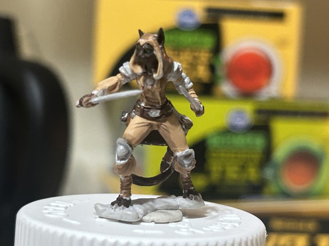 Same black tabaxi miniture from behind.